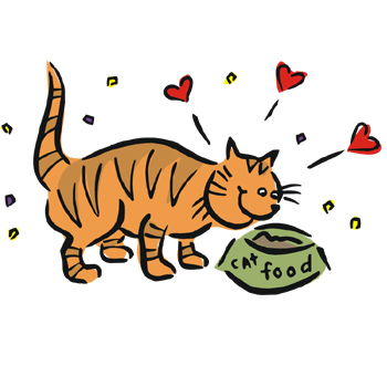 Can This New Cat Food Really Make You Less Allergic?