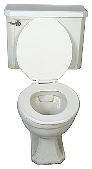 Woman Finds Inventive Way To Pass The Time While Quarantined, By Dressing Up Her Toilet! Woman Finds Inventive Way To Pass The Time While Quarantined, By Dressing Up Her Toilet!