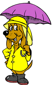 A Meteorologist’s Weather Forecast at Home Is Interrupted By His Dog! A Meteorologist’s Weather Forecast at Home Is Interrupted By His Dog!