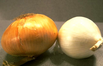 According to a new medical study, eating this food daily, can reduce bone fractures in people over the age of 50 by 20%. What is it? According to a new medical study, eating this food daily, can reduce bone fractures in people over the age of 50 by 20%. What is it?