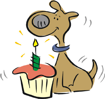 Dog Caught Stealing Cupcakes In Instagram Video!