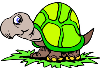 Turtle hitches a ride on a train!