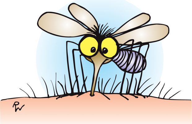 The average person gets 17 of these every summer. And it’s not a good thing. What are they?