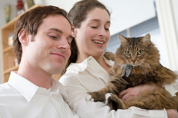 Cat People Now Have Their Own Dating App! Cat People Now Have Their Own Dating App!