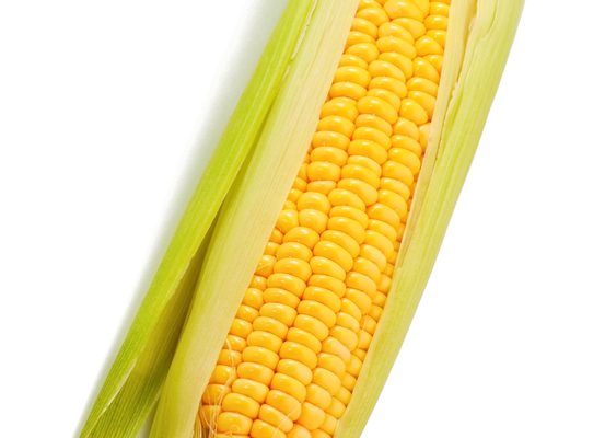 Beloved stalk of corn growing through a sidewalk in Sioux Falls is rescued after being uprooted!