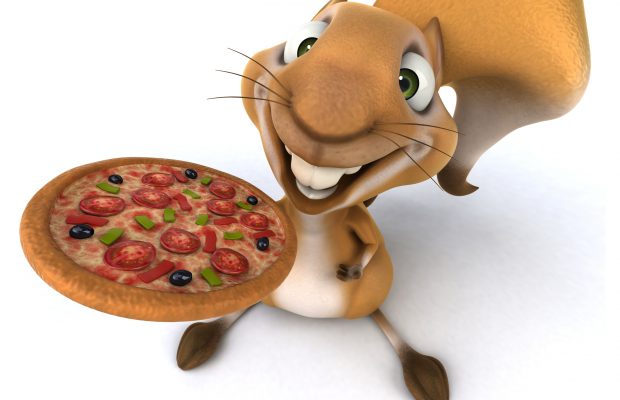 Sneaky Squirrel Causes Some Mayhem During Pizza Delivery!