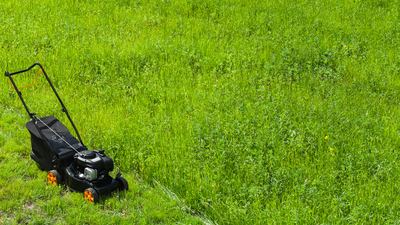 A new study says that our 5 favorite smells are: Coffee, Bacon, Clean Laundry, Cake, and what?