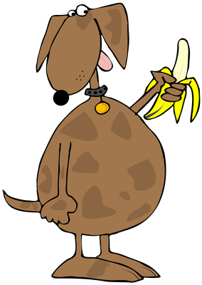 Woman Sees Her Dog’s Face in a Banana Slice! Woman Sees Her Dog’s Face in a Banana Slice!