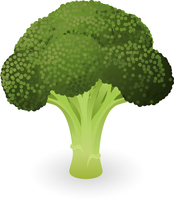 According to a new survey, our 3 favorite vegetables are: Green Beans, Carrots and what? According to a new survey, our 3 favorite vegetables are: Green Beans, Carrots and what?