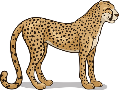 This is the fastest land animal. What is it? This is the fastest land animal. What is it?