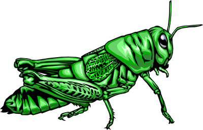 Edible crickets are all the rage at the Minnesota State Fair! Edible crickets are all the rage at the Minnesota State Fair!