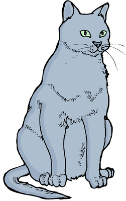 The “World’s Biggest Cat”!