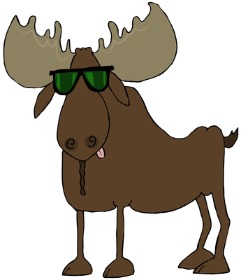 Moose Startles Fire Department Mechanics!