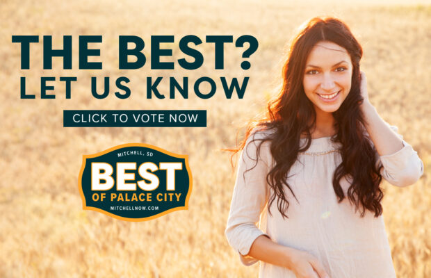 Best of Palace City Best of Palace City