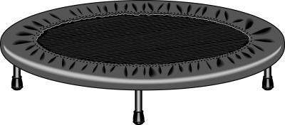 Family of bears bounce on trampoline in Connecticut yard.