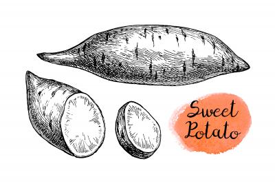 This is one of the most valuable crops in the world. It provides more nutrients per farmed acre, than any other staple. What is it?