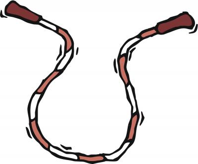 Jump-Roping Cat Breaks Guinness World Record!