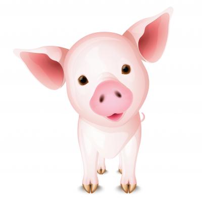 Escaped pig befriends a Wisconsin family!