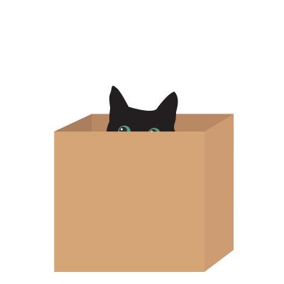 Cat Is Accidentally Shipped 650 Miles in Amazon Return!