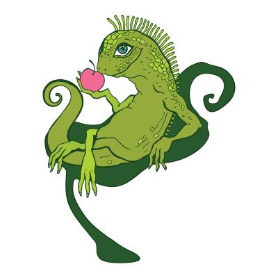 Iguana Lays 30 Eggs on Resort Waterslide! Iguana Lays 30 Eggs on Resort Waterslide!