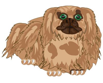 Wild Thang, an 8-year-old Pekingese was the winner of the World’s Ugliest Dog Contest!