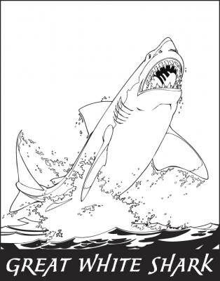 They typically live 70 years or more in the wild, but the longest one that has ever survived in captivity was 198 days. What is it?