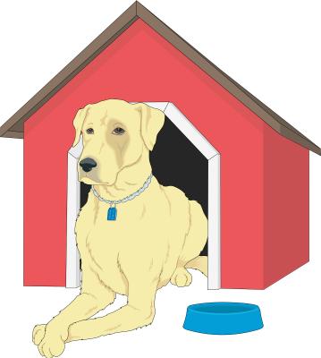 A Company is Selling a $60,000 Doghouse!