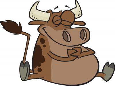 A Woman in Canada has a Pet Steer!
