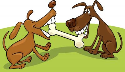 The world’s tallest and shortest dogs have a puppy playdate in Idaho!