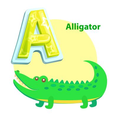 Woman Spotted Petting a Wild Alligator in Florida!