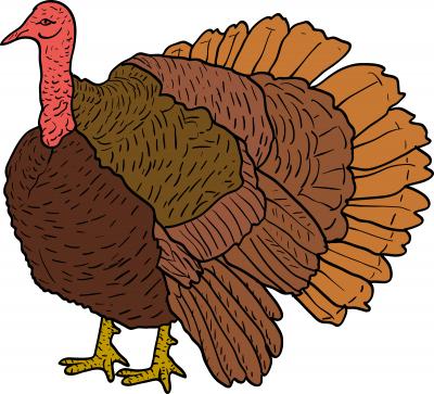 A Nest Protecting Wild Turkey Chases Down a New York Man in His Own Driveway!