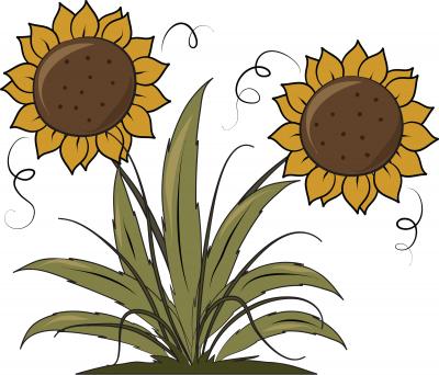 Indiana man’s sunflower breaks a Guiness World Record!