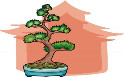 Bonsai-Tree-Flavored Gin!