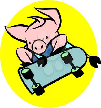 Skateboarding Pig! Skateboarding Pig!