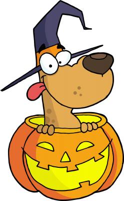According to a new survey, this is the most popular costume that dog owners dress their pooch up in for Halloween. What is it? According to a new survey, this is the most popular costume that dog owners dress their pooch up in for Halloween. What is it?