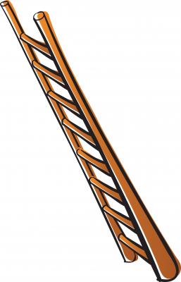 A man Balanced a Ladder on His Chin For 19 Minutes to break a Guiness World Record!