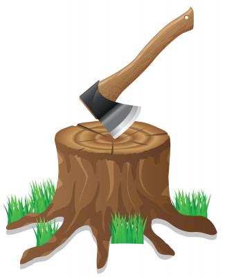 Lumberjack World Championships!