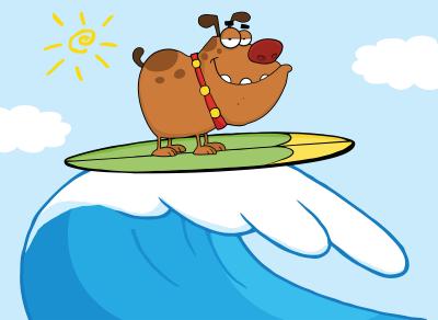 Dog Surfing Championships! Dog Surfing Championships!